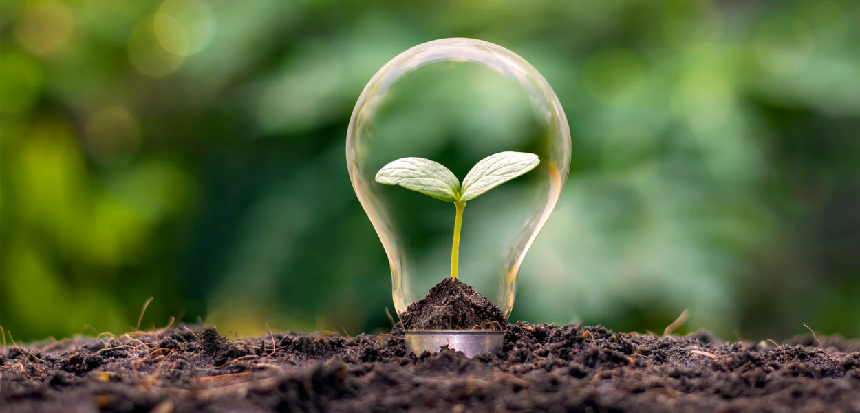 Guida al risparmio, su come evitare gli sprechi (energetici)